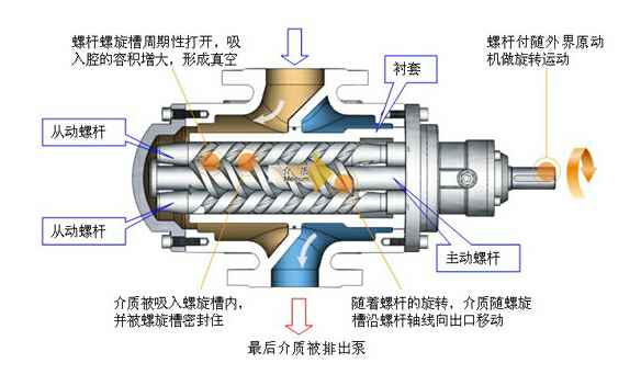 螺杆式真空泵的抽气原理图