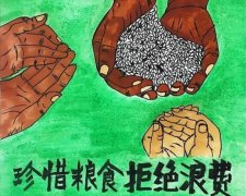 关于我们开展“杜绝浪费 节粮爱粮”活动的倡议书